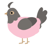 A rose and grey chicken with a head pattern