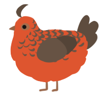 A vermilion and bark chicken with a half-lace pattern