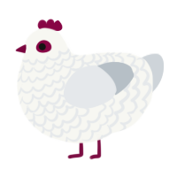 A white and mist chicken with a lace pattern