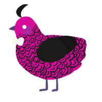 A fuchsia and sable chicken with a double-lace pattern