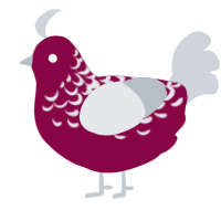 A maroon and mist chicken with a half-lace pattern