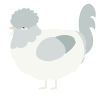 A white and silver chicken with a head pattern