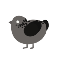 Pewter, a grey and black chicken with a neck-speckle pattern