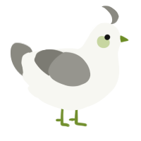 A white and ash chicken