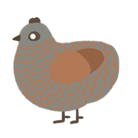 A ash and brown chicken with a lace pattern