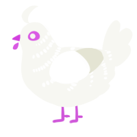 A white chicken with a half-bar pattern