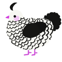A white and black chicken with a lace pattern