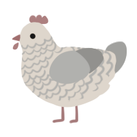 A beige and ash chicken with a lace pattern