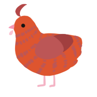 A vermilion and red chicken with a bar pattern