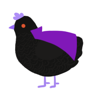 A black and sable chicken with a double-lace pattern