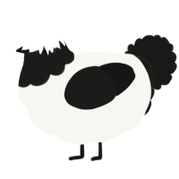 A white and sable chicken with a head pattern