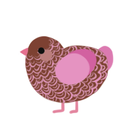 parfait, a russet and pink chicken with a double-lace pattern