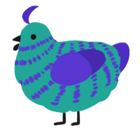 A turquoise and indigo chicken with a bar pattern