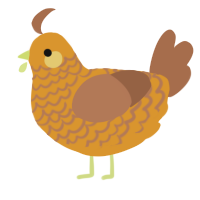 A orange and brown chicken with a lace pattern