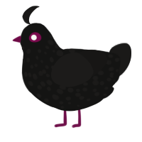 A black and sable chicken with a speckle pattern