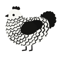 A white and black chicken with a lace pattern