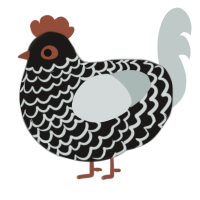 A sable and silver chicken with a lace pattern