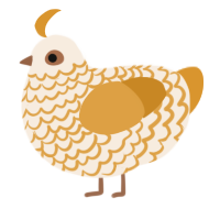A cream and orange chicken with a lace pattern