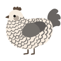 A cream and grey chicken with a lace pattern