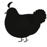 A black chicken with a lace pattern