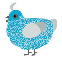 A cerulean and silver chicken with a double-lace pattern