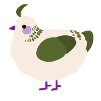 A cream and olive chicken with a neck-band pattern