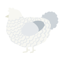 A white and mist chicken with a lace pattern