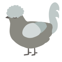 A ash and silver chicken