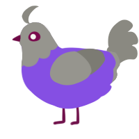 A blurple and ash chicken with a head pattern