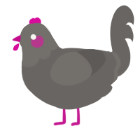 A grey chicken with a head pattern