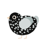 Fleck, a black and silver chicken with a speckle pattern