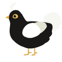 A sable and white chicken
