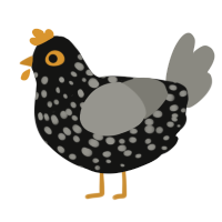 A black and ash chicken with a speckle pattern