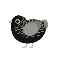 Oliver, a black and ash chicken with a half-lace pattern