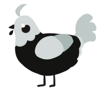 A black and silver chicken with a head pattern