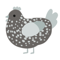 A grey and silver chicken with a speckle pattern