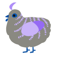 A ash and lilac chicken with a half-bar pattern