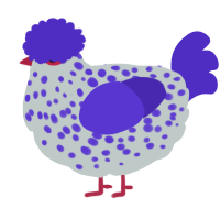 A silver and indigo chicken with a speckle pattern