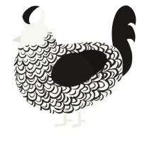 A white and sable chicken with a double-lace pattern