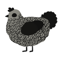 A ash and black chicken with a double-lace pattern