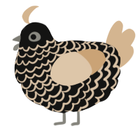 A black and beige chicken with a lace pattern
