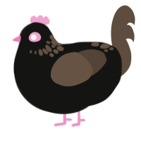 A black and bark chicken with a neck-speckle pattern