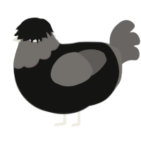 A black and grey chicken with a head pattern