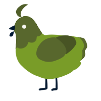 A chartreuse and olive chicken with a head pattern