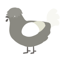 A ash and white chicken