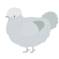 A mist and silver chicken with a lace pattern