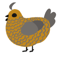 A ochre and grey chicken with a lace pattern