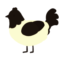 A white and black chicken with a head pattern