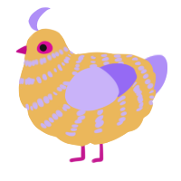 A honey and lilac chicken with a bar pattern