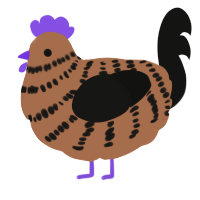 A brown and black chicken with a bar pattern